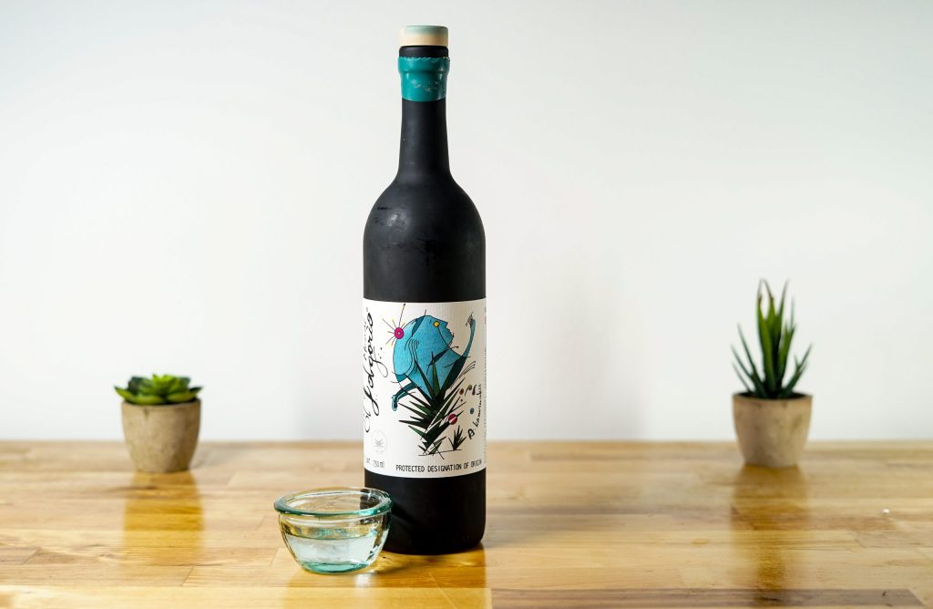 El Jolgorio Black Bottle Karwinskii