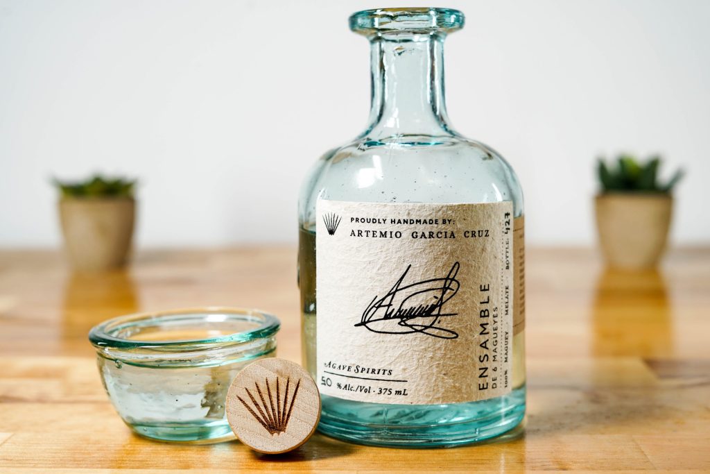 Maguey Melate Artemio Garcia Cruz Ensamble de 6 Magueys