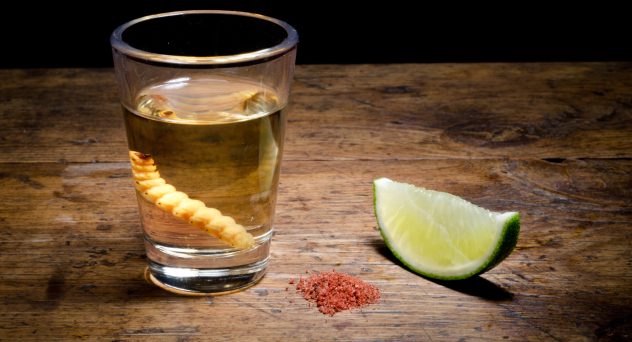 Tequila Worm