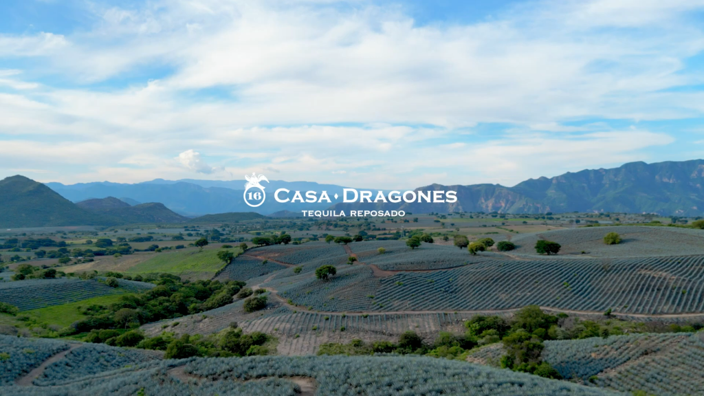 Casa Dragones Reposado