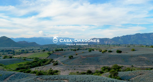 Casa Dragones Reposado