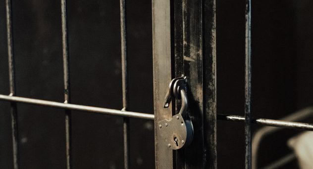 jail bars- Store accused of selling alcohol without a license