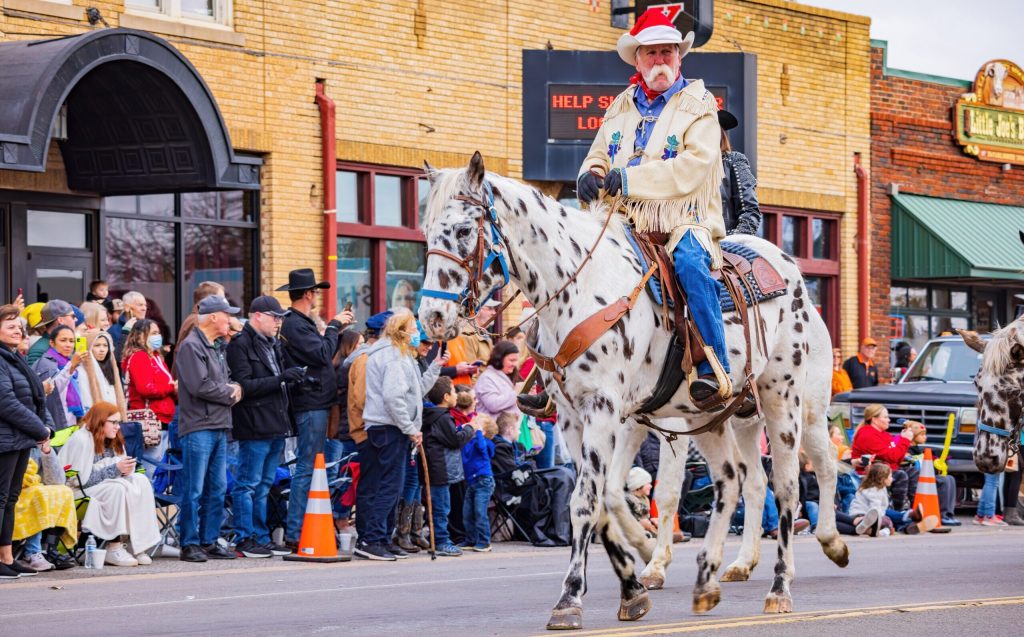“The Sparks Coming off of Her Feet”: Horse in Parade Hit by Drunk Driver, Witnesses Say