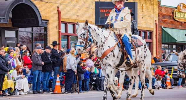“The Sparks Coming off of Her Feet”: Horse in Parade Hit by Drunk Driver, Witnesses Say