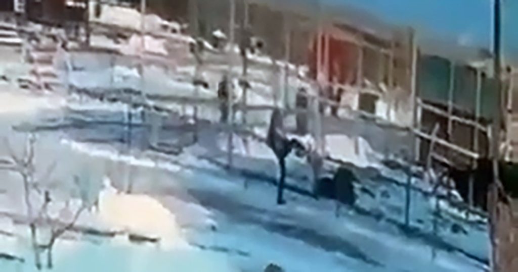 Video Shows Drunk Woman Climbing Into Zoo Lion Enclosure, ‘We Really Hope That Doctors Will Save Her Hand’