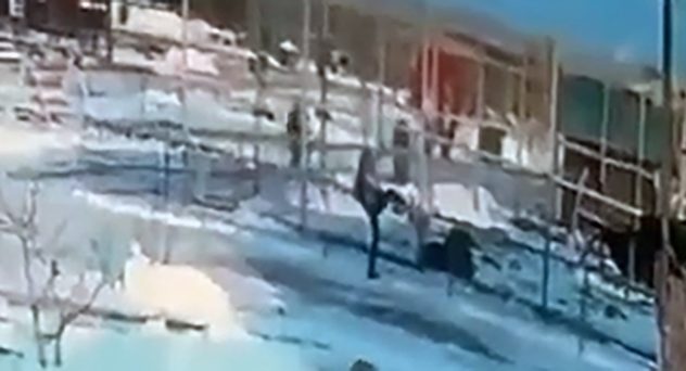 Video Shows Drunk Woman Climbing Into Zoo Lion Enclosure, ‘We Really Hope That Doctors Will Save Her Hand’