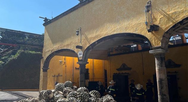 Must-Visit Tequila Distilleries