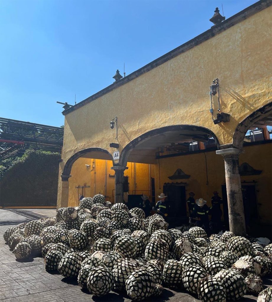 Must-Visit Tequila Distilleries