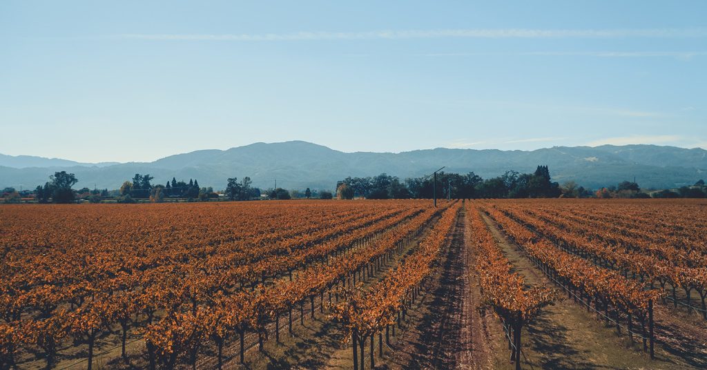 Winery Shut Down After Years of Operating Without a License, It's Not the Owner's First Run-in With the Law