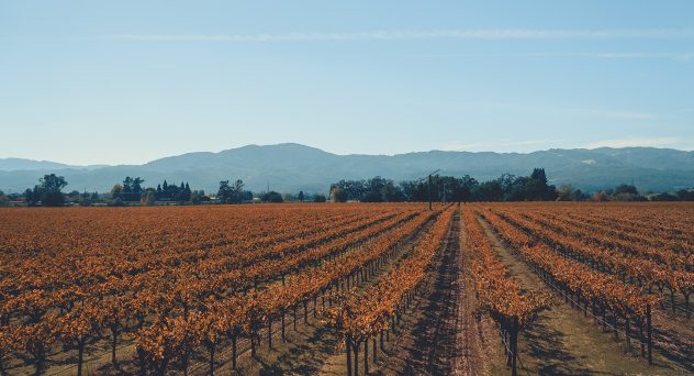 Winery Shut Down After Years of Operating Without a License, It's Not the Owner's First Run-in With the Law