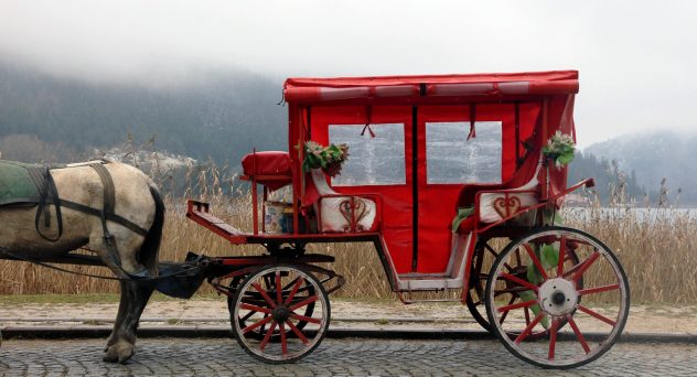 Drunk Horse Carriage Driver