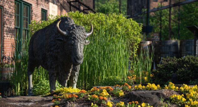 Buffalo Trace Distillery