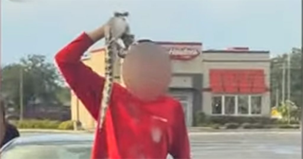 Florida Teens Caught on Video “Force Feeding” Baby Alligator Twisted Teas and Guzzling Booze Straight from Gator's Mouth