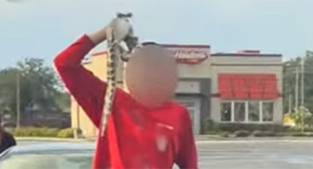 Florida Teens Caught on Video “Force Feeding” Baby Alligator Twisted Teas and Guzzling Booze Straight from Gator's Mouth