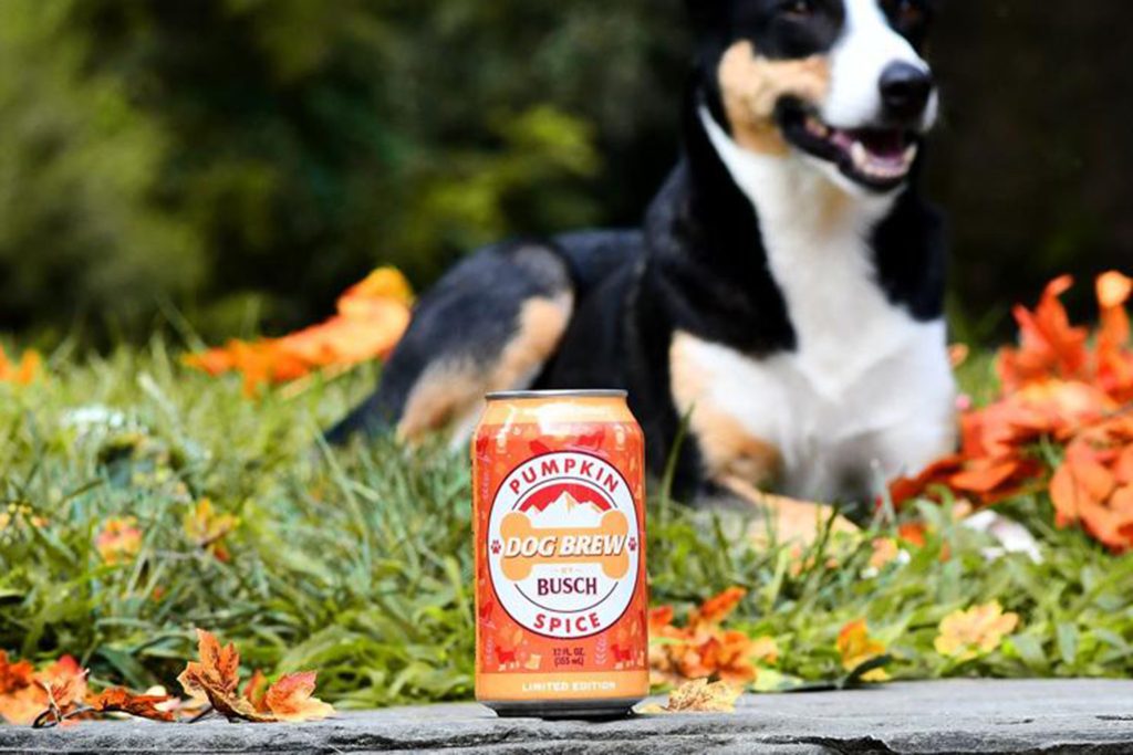 Pumpkin Spice Everything: Busch Beer Creates Pumpkin Spice-Flavored Drink – Just for Dogs