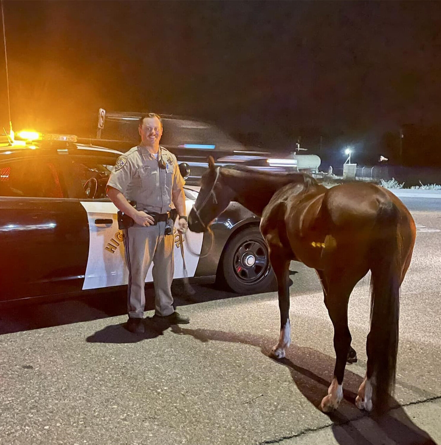 California Man Arrested for Alleged Horseback-Riding DUI on Highway ...