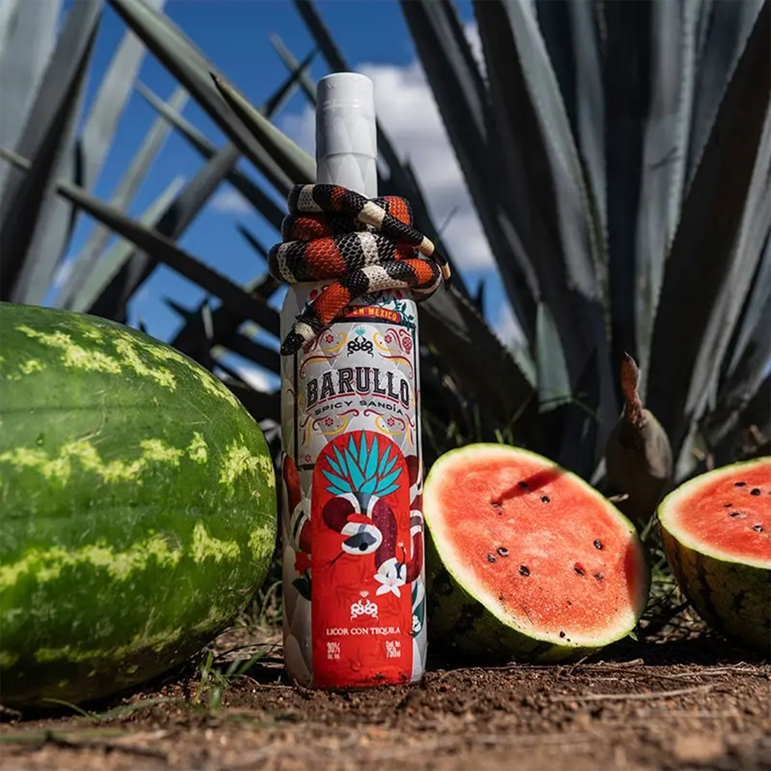 Influencer-Backed Spicy Watermelon Tequila Takes Internet by Storm ...