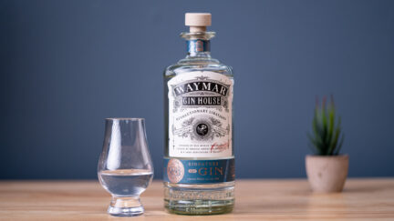 best gin