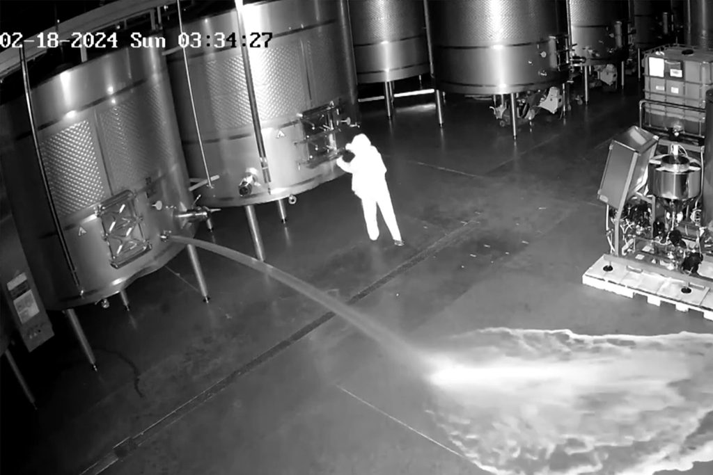 Mystery Intruder Targets Premium Wines: Over $2.7 Million in Losses for Spanish Winery