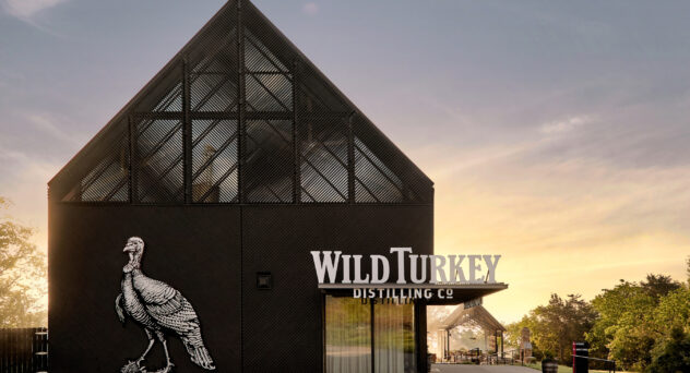 Wild Turkey