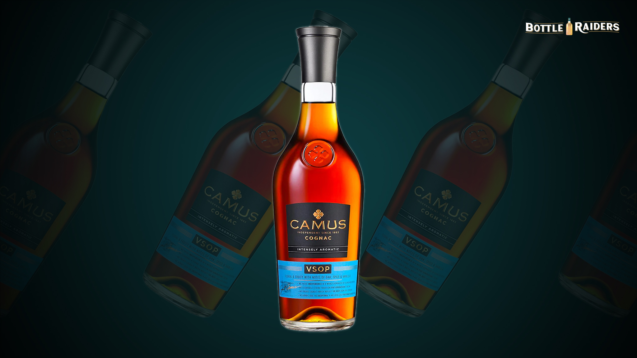Camus VSOP Cognac | The Daily Pour