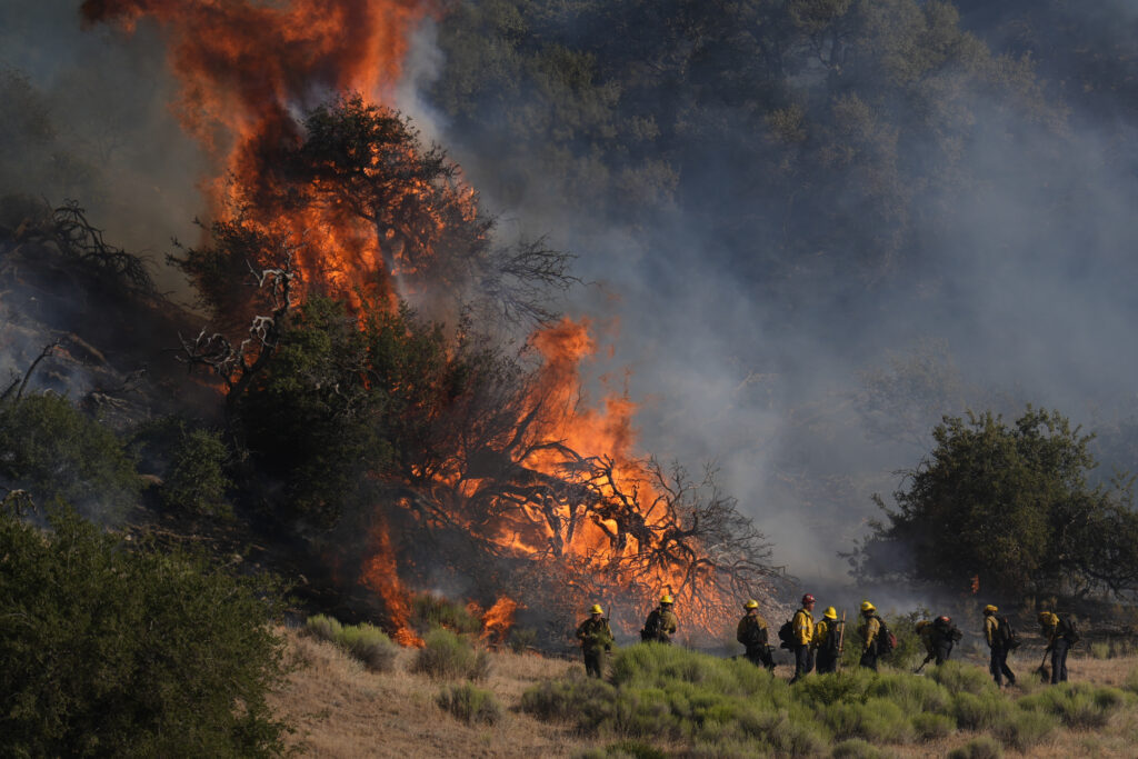 Point Fire