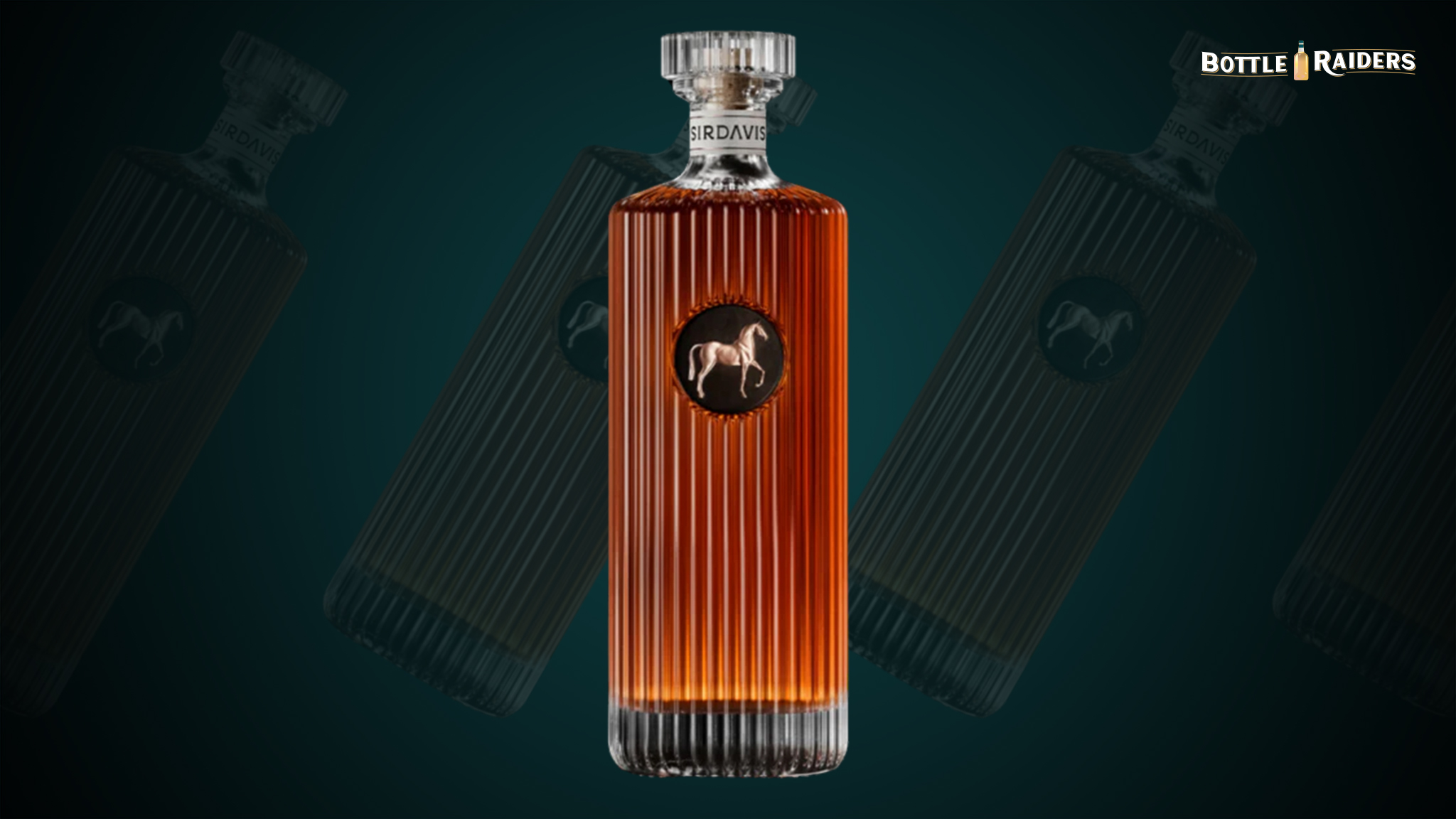 bottleraiders.com
