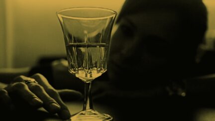 does absinthe make you hallucinate