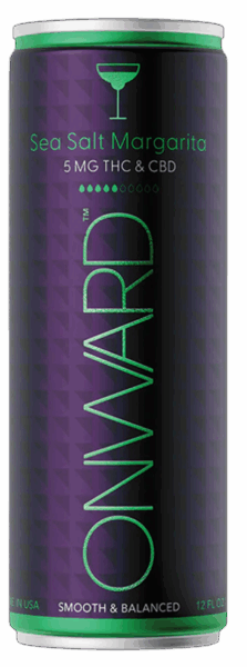 Onward Sea Salt Margarita spirit image