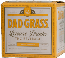 Dad Grass Mango Pineapple spirit image