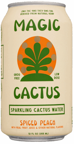 Magic Cactus Spiced Peach spirit image