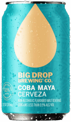 Big Drop Brewing Coba Maya spirit image