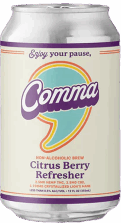 Comma Citrus Berry Refresher Ale spirit image