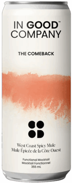 In Good Company The Comeback spirit image