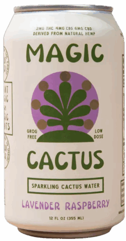 Magic Cactus Lavender Raspberry spirit image