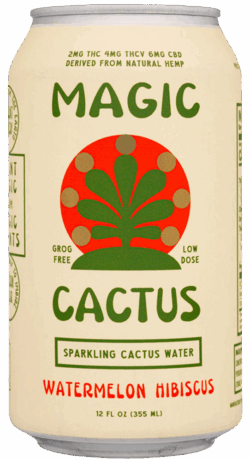 Magic Cactus Watermelon Hibiscus spirit image