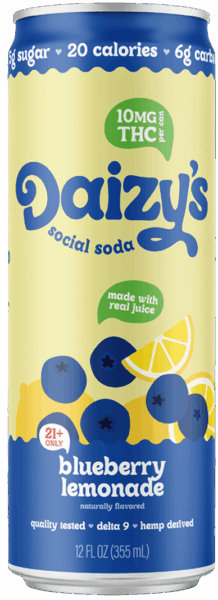 Daizy’s Blueberry Lemonade spirit image