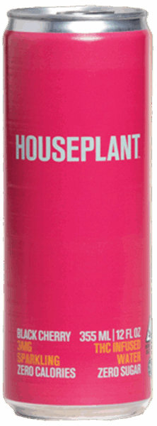 Houseplant Black Cherry spirit image
