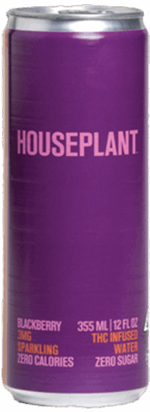 Houseplant Blackberry spirit image