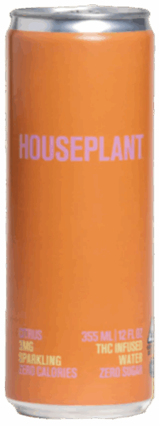 Houseplant Citrus spirit image