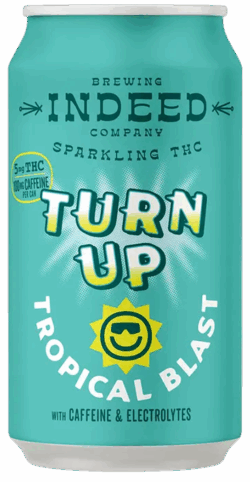 Indeed Brewing Tropical Blast spirit image