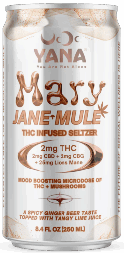 Yana Mary Jane Mule spirit image