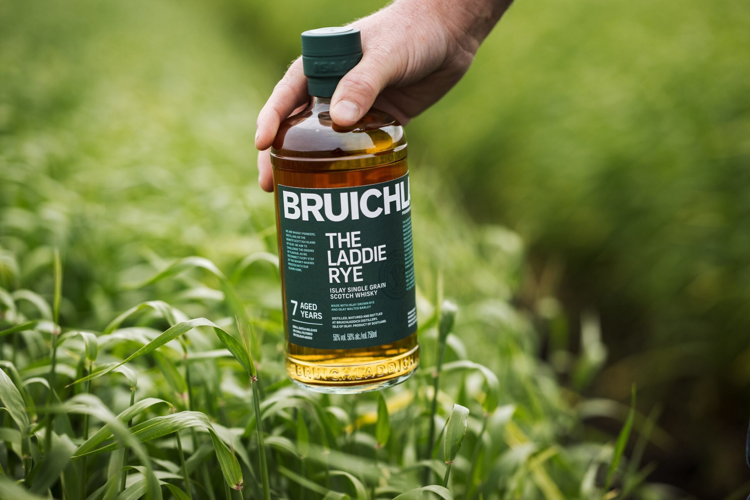 Bruichladdich The Laddie Rye