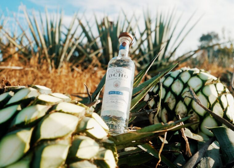 5 Tequila Trends to Look Out For in 2026, From Lawsuits to Unusual Yeasts spirit image