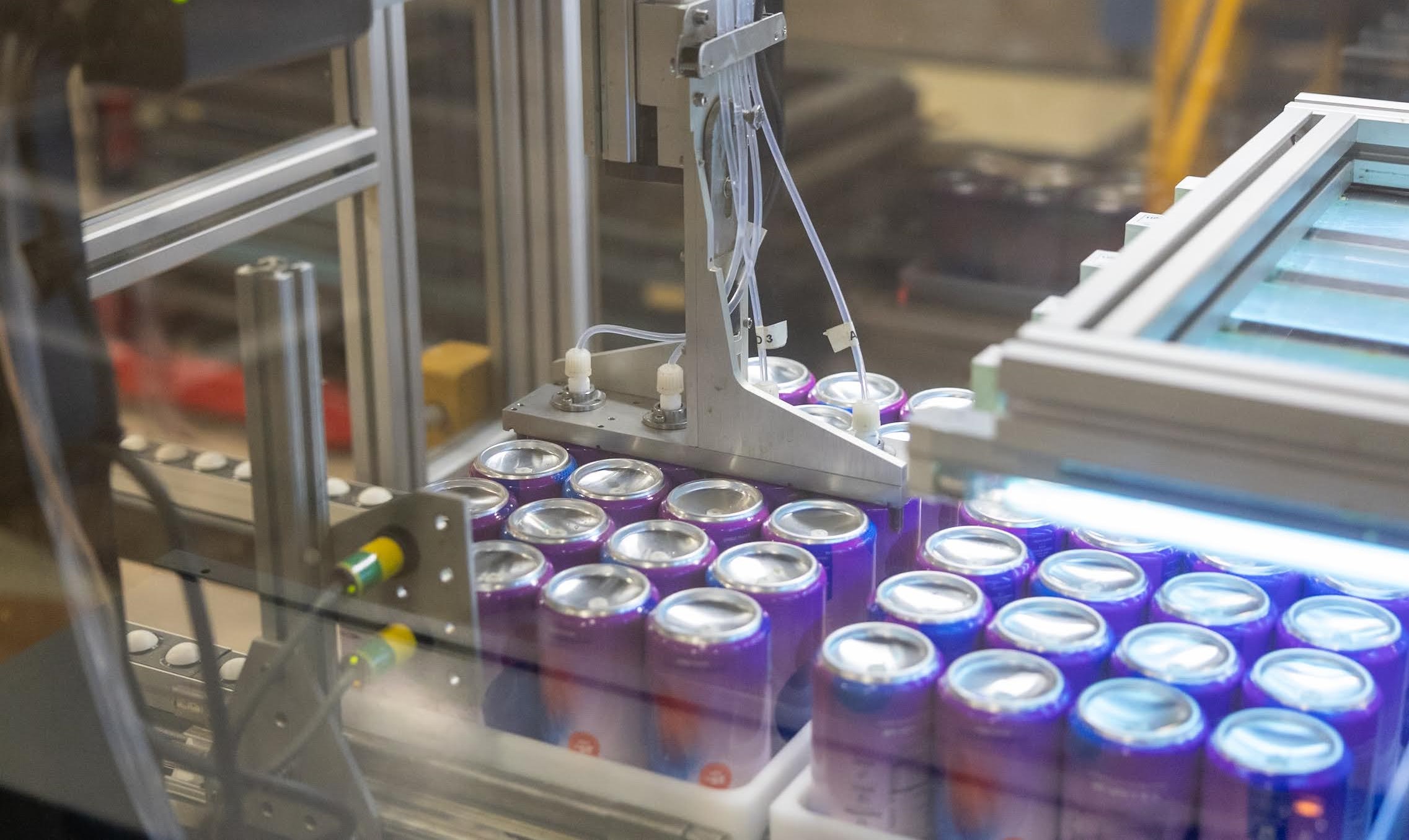 Wynk Co-Founder Angus Rittenburg Dissects the Future of THC Drinks