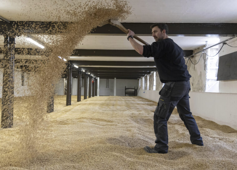 Sustainability in Wine and Spirits: 4 Key Factors to Consider Before You Buy spirit image
