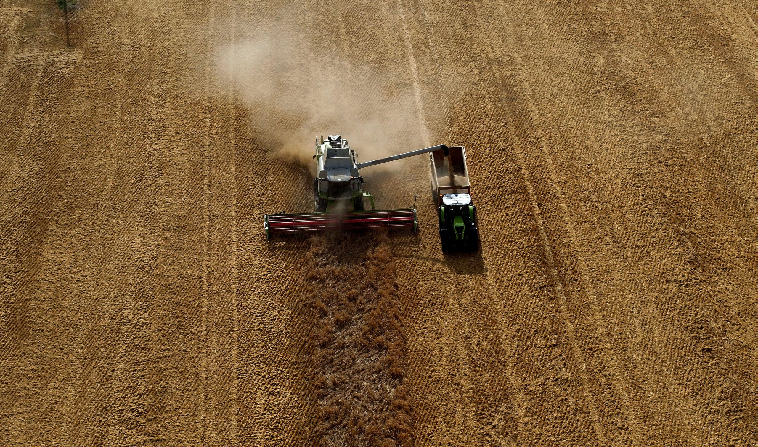 barley production decline