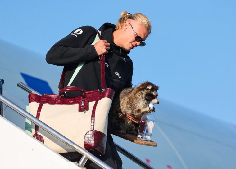Everyone Thinks Erling Haaland’s Viral Raccoon Is Holding Whiskey. It’s Not. spirit image
