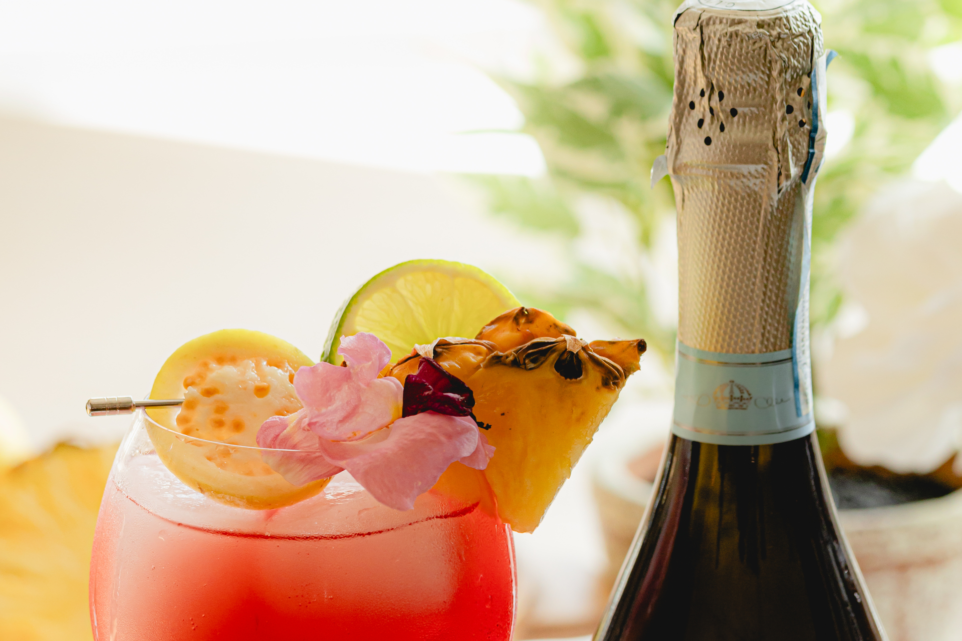 Tropical Spritz cocktail image
