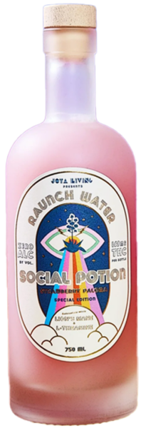 Jota Living Social Potion spirit image